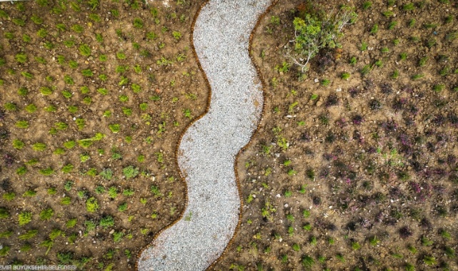 “Doğa Şehirde” Projesi Mavişehir Balıkçı Barınağı’ndan Başladı