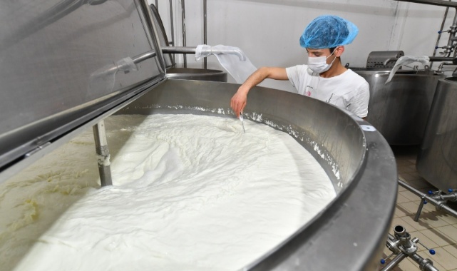 İzmir’de Süt Üreticisi Nefes Almaya Başladı