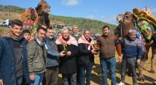 Konaklı, 25. Kez Deve Güreşlerine Ev Sahipliği Yaptı