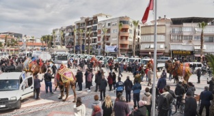 Menemen'de Deve Gösterisi Heyecanı