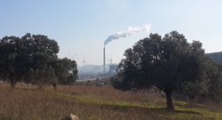 Zeytinliklerimizi Ranta Kurban Ettirmeyeceğiz