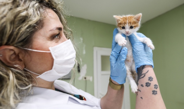 Bucalı Can Dostlarına Tam Donanımlı Hizmet