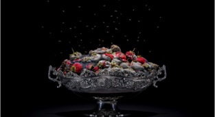 Gıda İsrafı Sergisi'ni Sakın Kaçırmayın