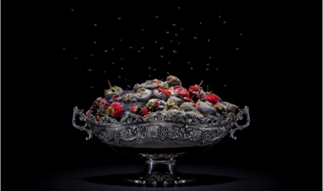 Gıda İsrafı Sergisi&#039;ni Sakın Kaçırmayın