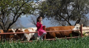 Pınar Süt, 2021'de Yüzde 32,2 Büyüyerek 2,7 Milyar TL Ciroya Ulaştı