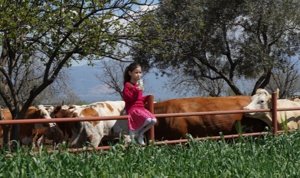 Pınar Süt, 2021&#039;de Yüzde 32,2 Büyüyerek 2,7 Milyar TL Ciroya Ulaştı