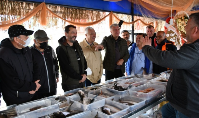 Taze Balık Mezattan Sofraya