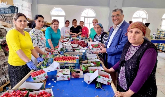 Sındır, “Tarımda Plansızlığın Ağır Bedelini Üretici ve Tüketici Ödüyor!”