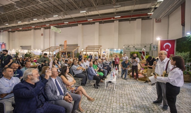 Soyer: “Zeytin Ağaçlarına Sonuna Kadar Sahip Çıkacağız”