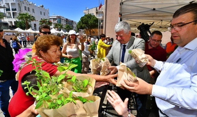 Üreticilere Yerel Fide Dağıtıldı