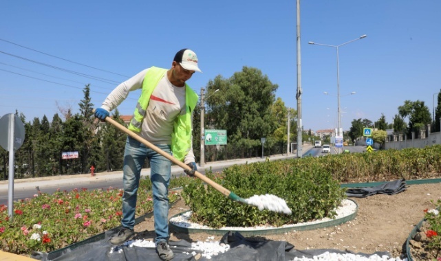 Buca Sokaklarında Yaz Çiçekleri Zamanı