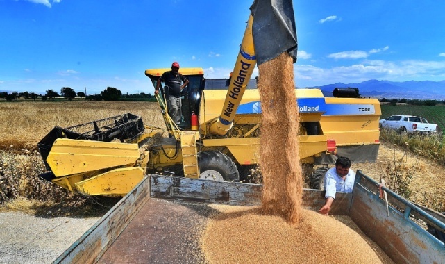 İzmir’de Karakılçık Buğdayı Eken Üreticinin Yüzü Güldü
