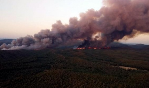 Marmaris'in 'Amazon'u Yandı