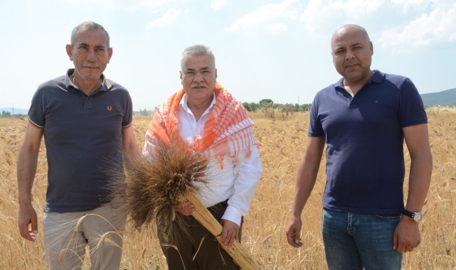 Torbalı Belediyesi Buğday Hasadına Başladı