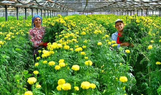 Bademler’in Çiçek Üreticisi Hollanda Borsası’nda