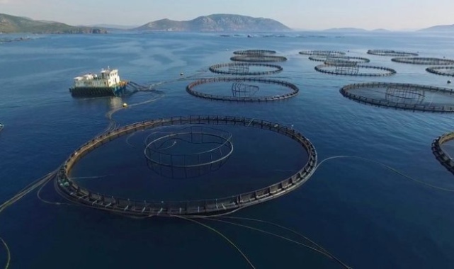 Başkan Yetişkin'den Balık Çiftliklerine Büyük Tepki!