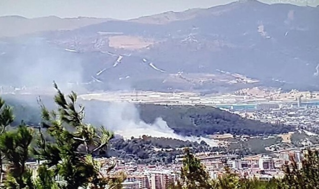 İzmir&#039;de Makilik Yangını! Havadan ve Karadan Müdahale Edildi