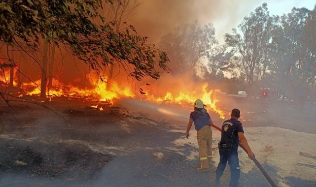 İzmir’in Ormanlarını Korumak İçin Zabıta İş Başında