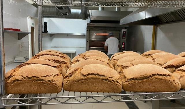 Karakılçık Hem Üreticinin Hem Tüketicinin Yüzünü Güldürdü