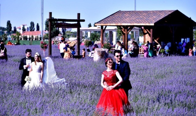 Lavanta Bahçesi Fotoğraf Stüdyosu Oldu