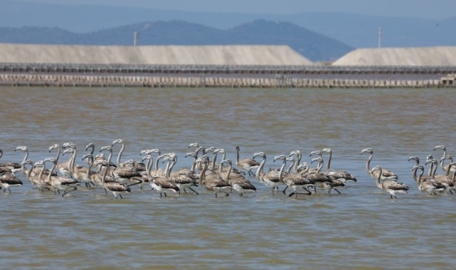 Flamingolara Kreş Eğitimi