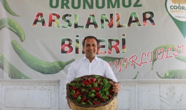'Torbalı biberi, Urfa isot biberine meydan okuyor'