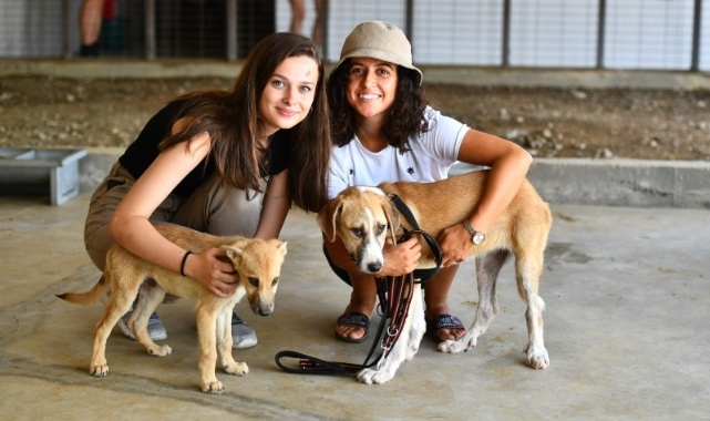 4 Ekim Dünya Hayvanları Koruma Günü Pako’da kutlanacak