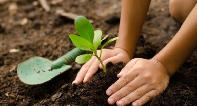 Bornova'da Öğrenciler Toprakla Buluştu