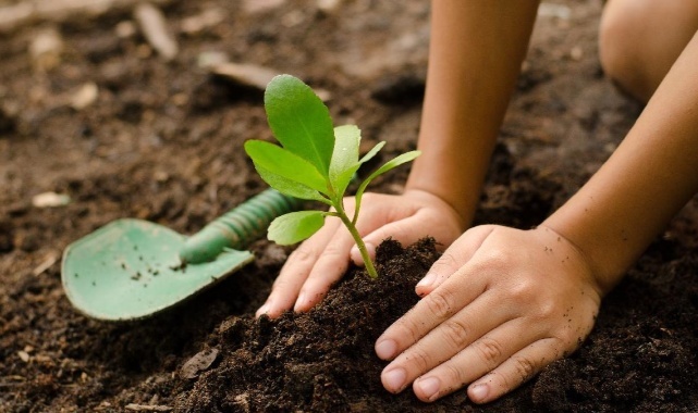 Bornova&#039;da Öğrenciler Toprakla Buluştu
