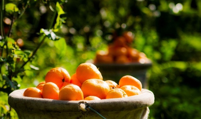 Karaburun&#039;da bu Pazar &quot;Turuncu Şenlik&quot; var