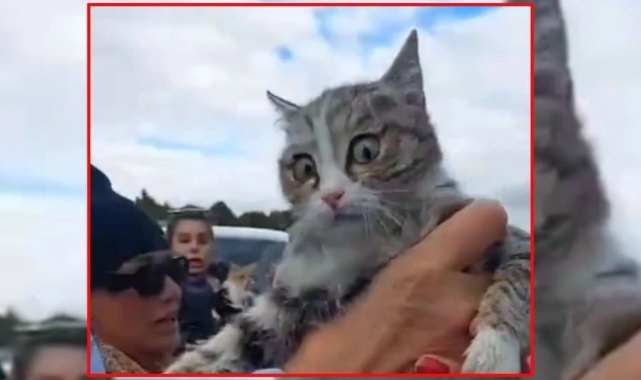 Konya&#039;da tıbbi atık poşetinden kurtarılan kedi hayatını kaybetti