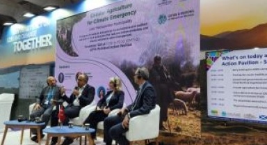 Soyer'den "Döngüsel Kültürlü Şehirler İttifakı" için Davet