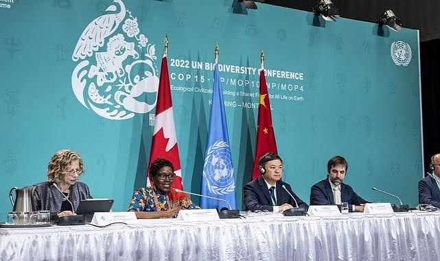 COP15’te Biyoçeşitlilik kaybını durdurmak için tarihi anlaşmaya imza atıldı