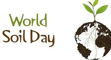 Dünya çapındaki resim yarışmasında Türkiye ilk 10'da