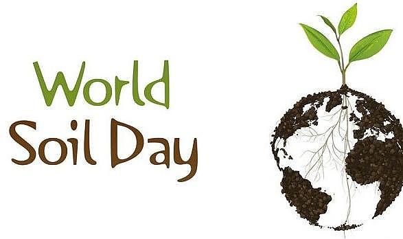 Dünya çapındaki resim yarışmasında Türkiye ilk 10&#039;da