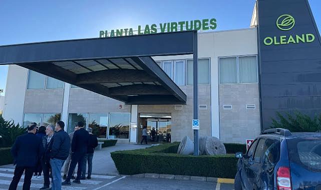 İspanyollardan Türk zeytin zeytinyağına yoğun ilgi