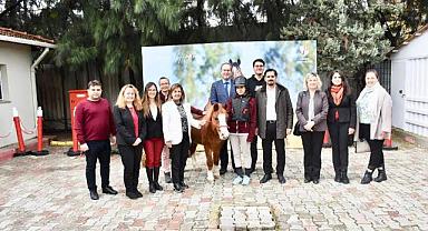 İzmir Hipodromunda Engelliler Günü Etkinliği düzenlendi
