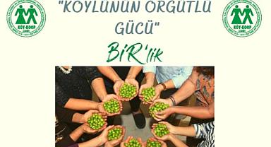 İzmir Köy Koop Birlik Başkanı Neptün Soyer: “Zeytinliklerimizi korumalıyız”