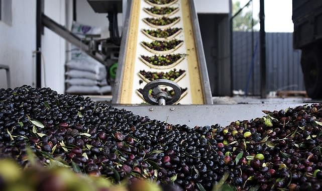 Kemalpaşa Zeytinyağı Fabrikası dolu dizgin