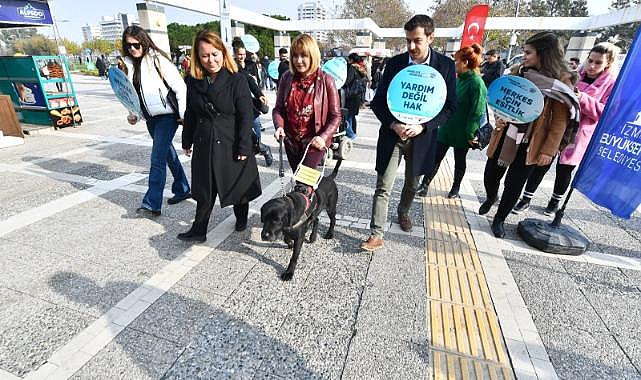 Rehber köpekler toplu ulaşımda