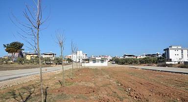 Torbalı Belediyesi yeşile doymuyor