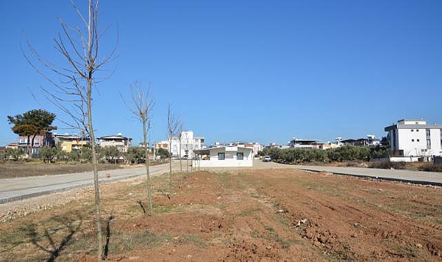 Torbalı Belediyesi yeşile doymuyor