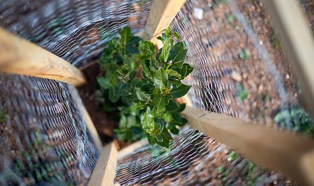 Bir Fidan Bir Dünya ile ağaçlandırma çalışmaları başlıyor