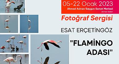 Flamingo Adası 5 Ocak'ta ASSM'de