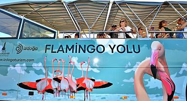 Flamingo Yolu turu 4 binin üzerinde ziyaretçi ağırladı