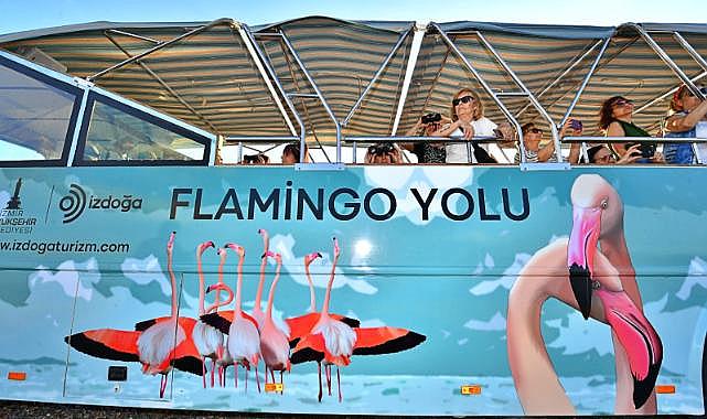 Flamingo Yolu turu 4 binin üzerinde ziyaretçi ağırladı