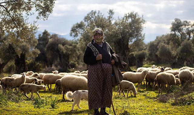 İzmir&#039;de Çoban Start-Up dönemi başlıyor