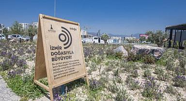 İzmir'e bir yılda 10 Buca Cezaevi kadar yeşil alan