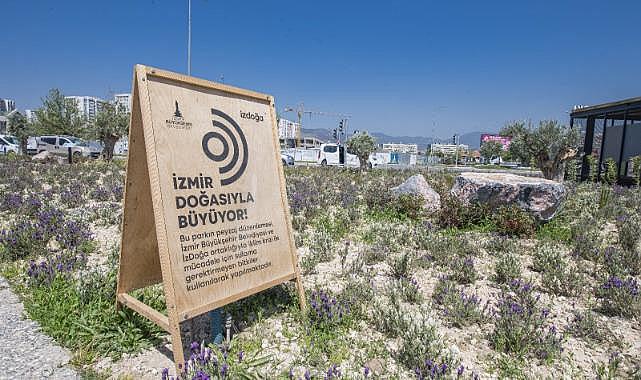 İzmir&#039;e bir yılda 10 Buca Cezaevi kadar yeşil alan