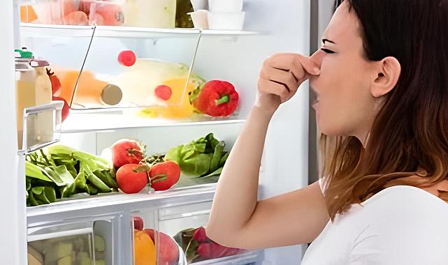 Küflü gıda temizlenip, kullanılabilir mi?